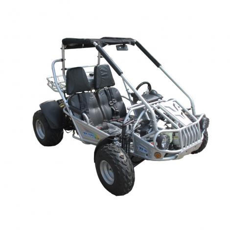 Adult All Terrian 300cc Go Kart