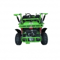 Gas Go Kart Two Seater For Kids MID XRX Green 
