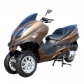 Trike Motorcycle 300cc Gas Scooter 