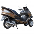 Trike Motorcycle 300cc Gas Scooter 
