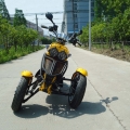 50cc 3 Wheel Gas Scooter Trike Motorycycle 