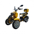 50cc 3 Wheel Gas Scooter Trike Motorycycle 