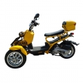 50cc 3 Wheel Gas Scooter Trike Motorycycle 