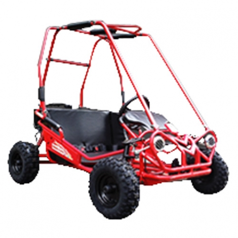 Kids buggy 50cc