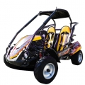XTM GB200R 200cc go kart with reverse single cylinder manufacturer 